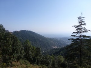 Blick von Bhagsu nach Dharamsala