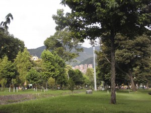 Ein Park im Norden der Stadt