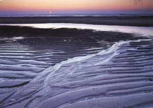 Wadden Sea National Park