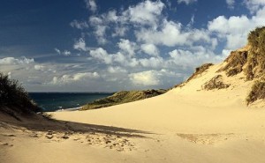 skagen dunes