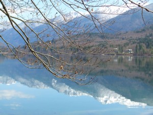 Bohinjer See im Fruehjahr