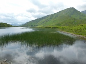 Connemara