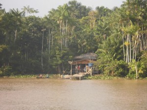 Kleine Holzhütte im Dschungel