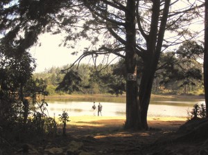 Parque Arvi - Groser Naturpark mit schoenen Wanderwegen