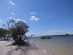 Am Strand von Alter do Chao