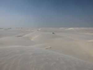 Duenenlandschaft  Lencois Maranhenses