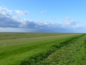 InselNeuwerk-Blick ueber die Insel