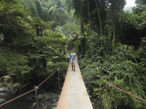 Pance im Nationalpark Farallones