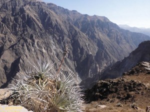 Canyon de Colca schlucht